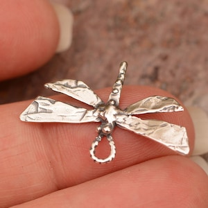 May include: A silver dragonfly charm with a textured finish. The charm has a loop at the top for attaching to a necklace or bracelet.