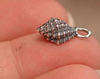 Small Sea Shell in Sterling Silver, Morum Amabile Conch Shell, CatD-483 (ONE)