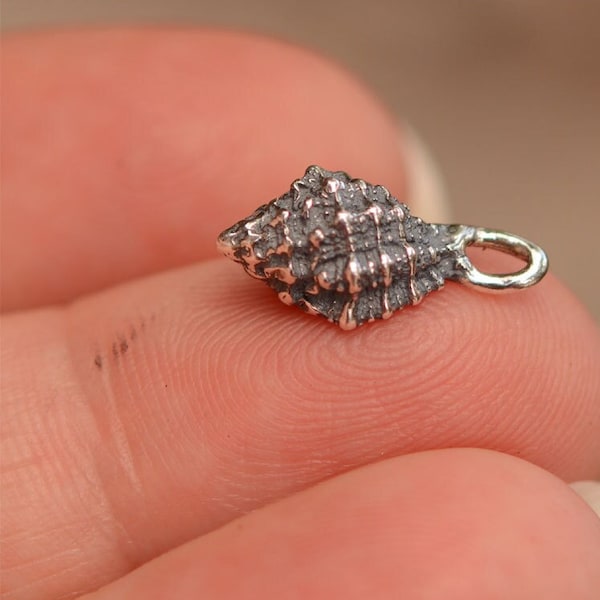 Small Sea Shell in Sterling Silver, Morum Amabile Conch Shell, CatD-483 (ONE)
