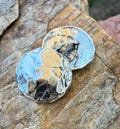 Rustic Artisan Button, Sterling Silver   (ONE)