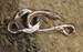 Rustic Hook and Eye Clasp in Sterling Silver, CatD-205-158 