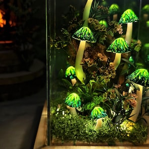 Może przedstawiać: Terrarium z świecącymi zielonymi grzybami o teksturowanych kapeluszach i białych łodygach, otoczonymi mchem i liśćmi. Grzyby są podświetlone, tworząc magiczny, fantazyjny wyświetlacz.