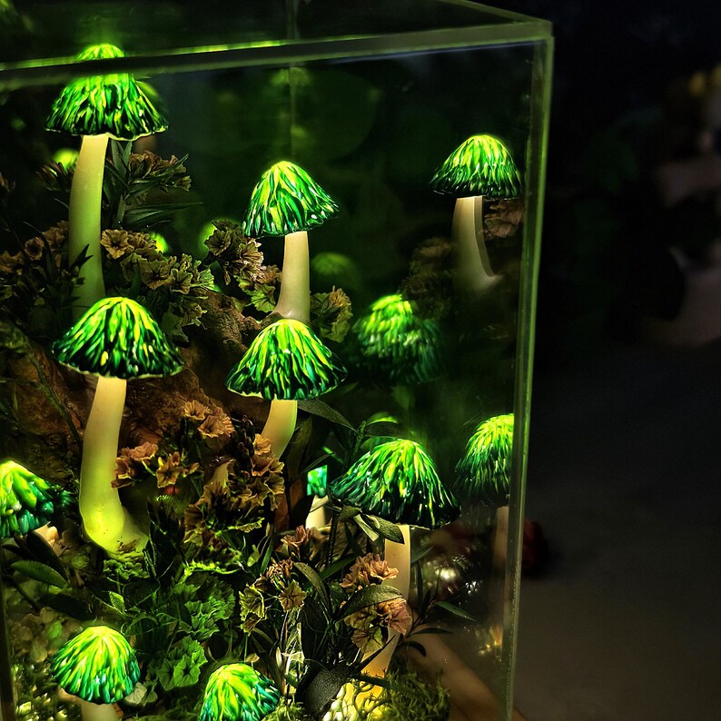 Może przedstawiać: Terrarium z świecącymi zielonymi lampkami w kształcie grzyb&oacute;w. Grzyby mają teksturowane kapelusze i białe łodygi, umieszczone wśr&oacute;d zieleni i małych kwiat&oacute;w. Prostokątny szklany pojemnik tworzy miniaturową, podświetlaną scenę leśną.