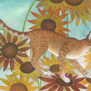 Può includere: Un gatto tabby marrone con zampe bianche cammina attraverso un campo di girasoli. I girasoli sono in varie tonalità di giallo, arancione e marrone. Lo sfondo è blu chiaro.
