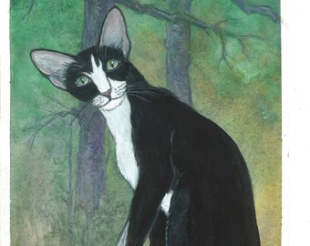 Oriental tuxedo cat in magical woods