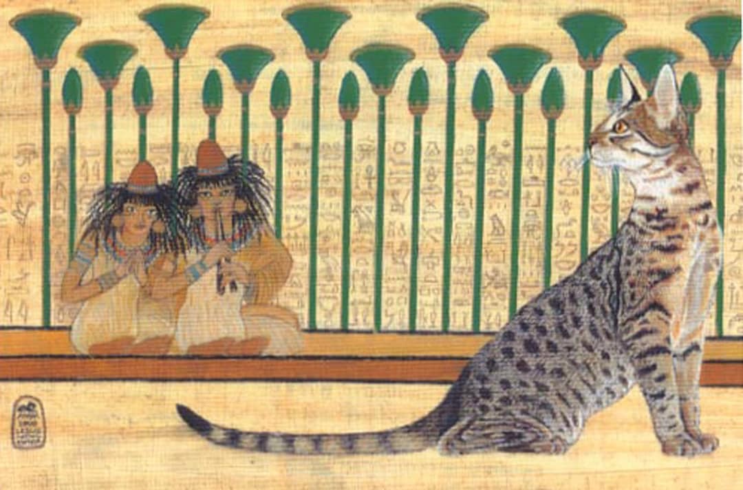 Egyptian Mau Cat Art Open Edition Print