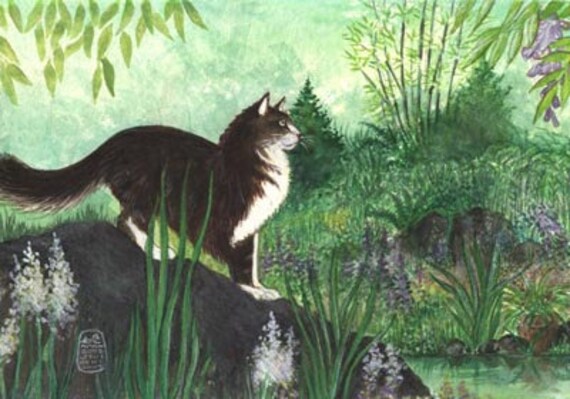 Longhaired Cat In Green Garden Maine Coon Like Cat Etsy