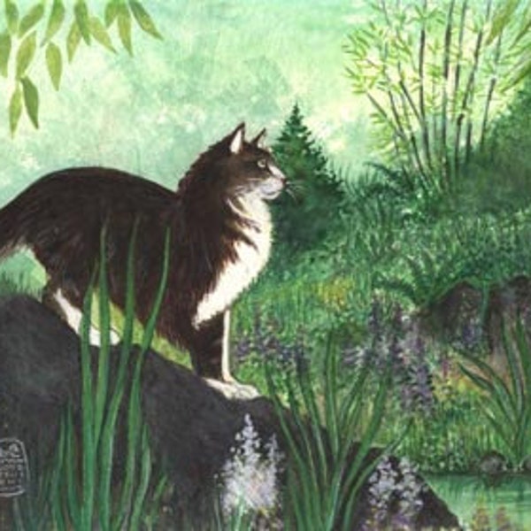 Longhaired cat in green garden, Maine Coon like cat,