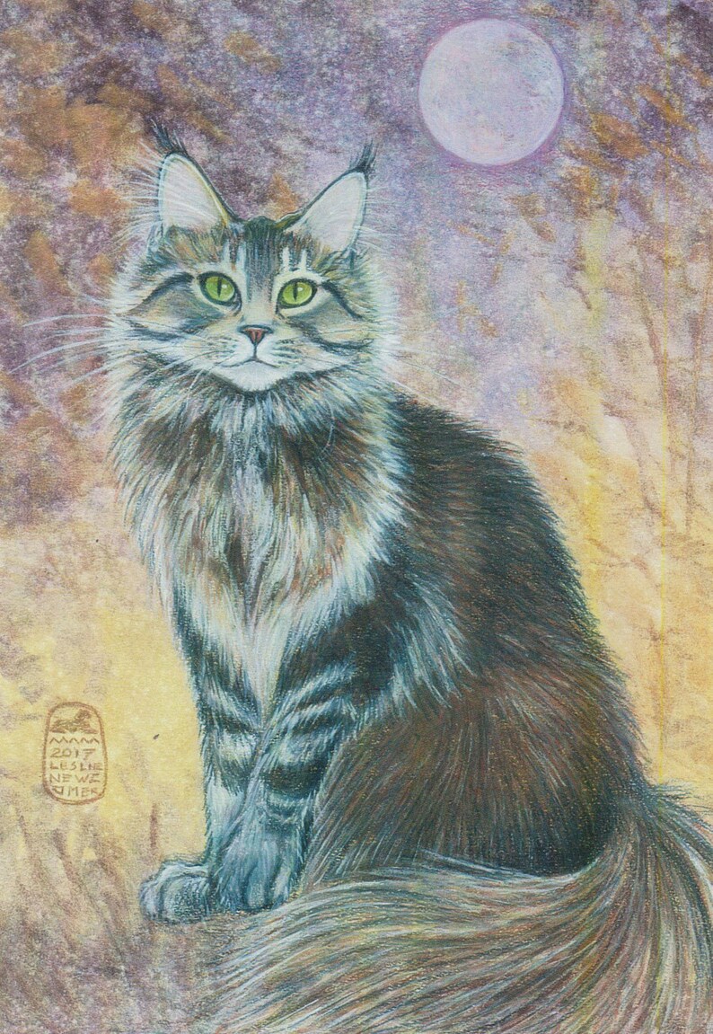 Maine Coon cat art print fluffy tabby Etsy