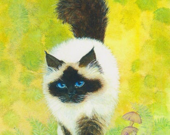 May include: A white and black cat with blue eyes stands in a green grassy field with brown mushrooms. The cat has a fluffy tail and a white chest. The background is a blurry green and yellow.