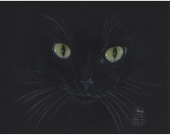 May include: A black cat with bright green eyes stares directly at the viewer. The cat's whiskers are visible against the dark background.