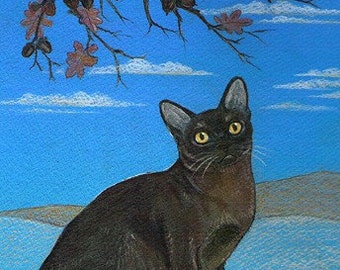 Sable Burmese Cat print of an original painting