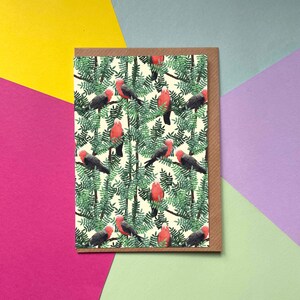 Galah Red | Carte de vœux