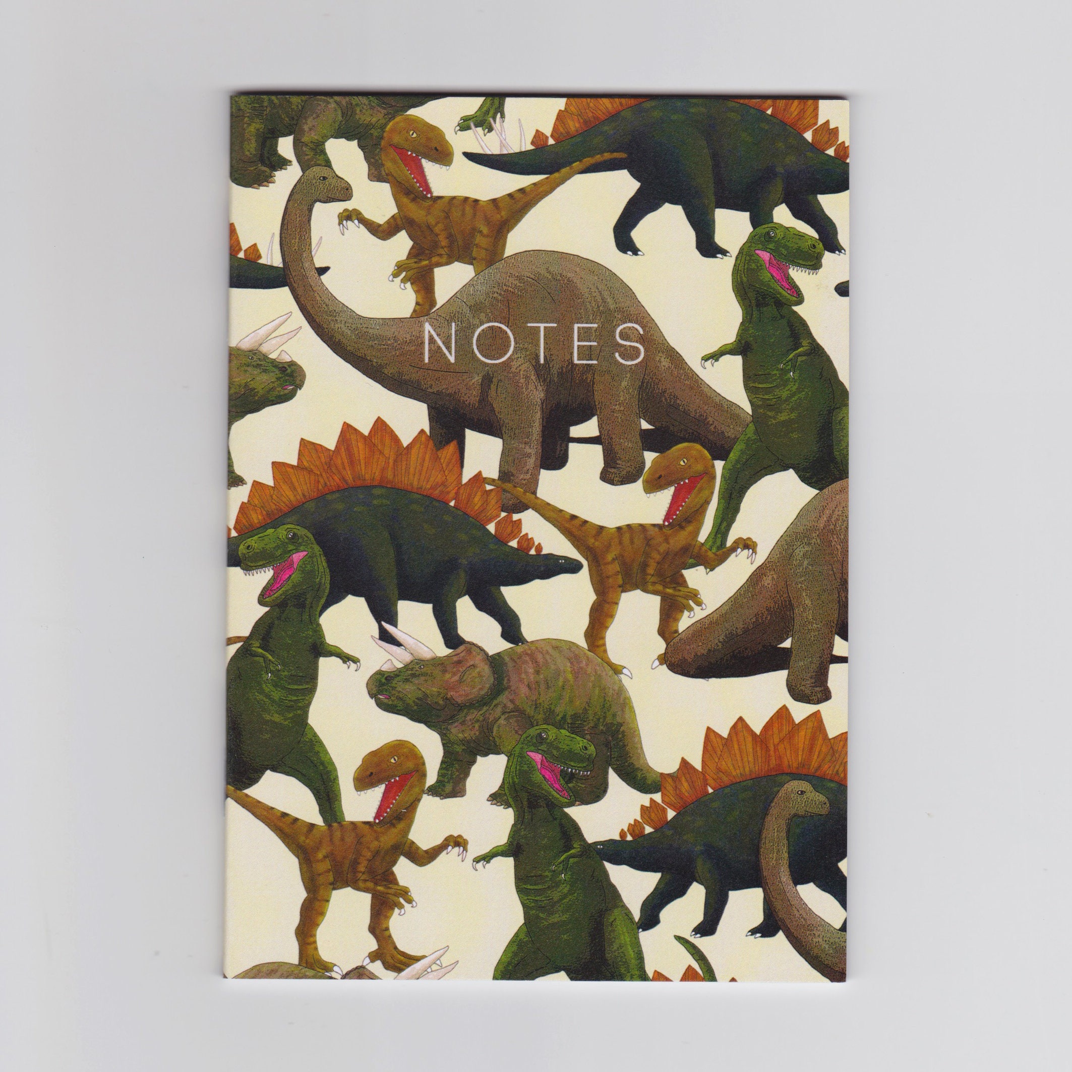 A6 Mini Notebook - Dinosaurs - Etsy