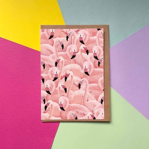 Uma Exuberância de Flamingos | Cartão de boas vindas