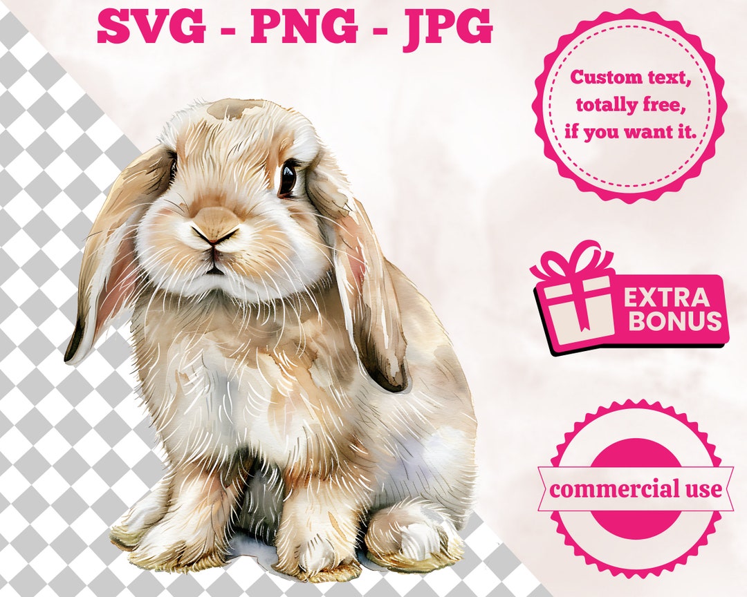 Sweet Holland Lop Rabbit SVG Handcrafted Watercolor Clipart Digital ...