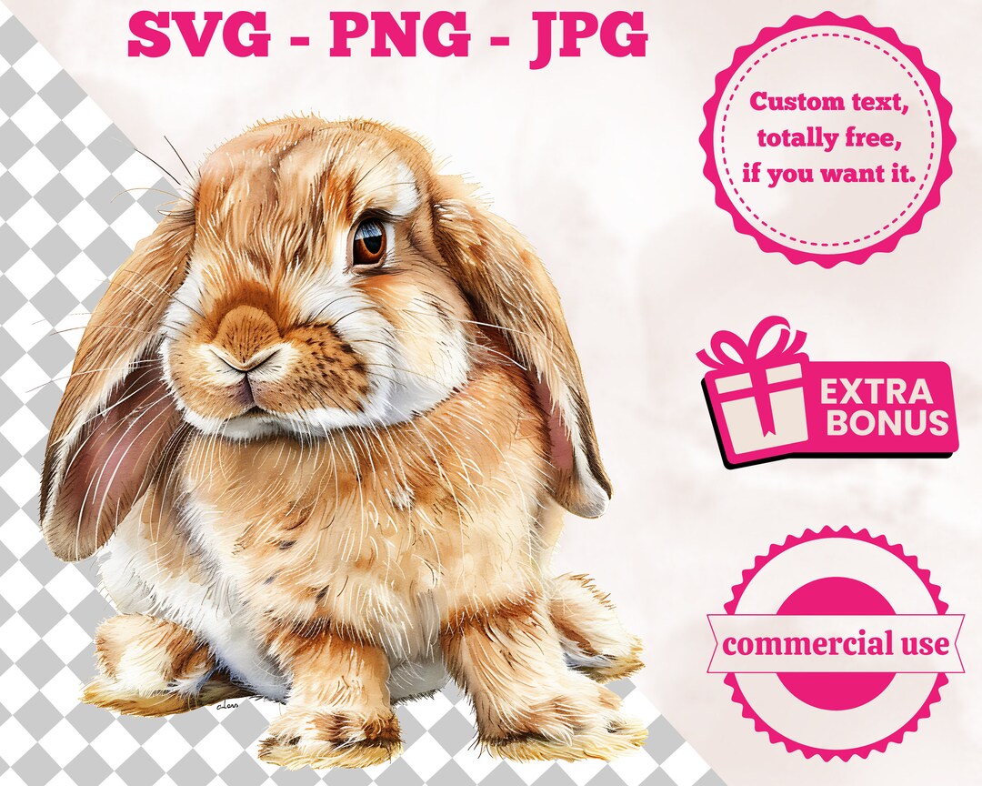 Cute Holland Lop Rabbit SVG Handcrafted Watercolor Clipart Digital ...