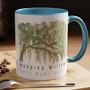 May include: White ceramic mug with a blue rim and handle. The mug features a watercolour illustration of a weeping willow tree with the text "Weeping Willow Salix Babylonica".