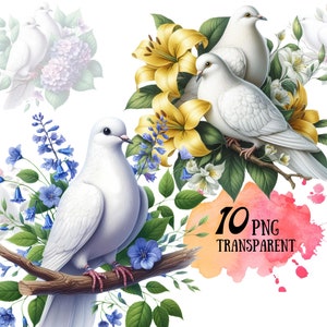 White Dove Branch Clipart Watercolor Dove Peaceful Dove Clipart Bundle Bird Png Digital Download Scrapbook Images