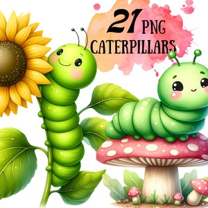Watercolor Caterpillar Clipart Cute Bugs Png Nature Sublimation Designs Watercolor Insect Transparent Background Nursey Digital Download