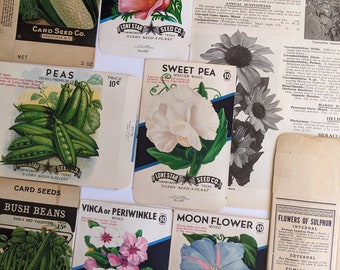 Flower and Vegetable Garden vintage junk journal paper ephemera. vegetable and flower seed envelopes. seed boxes. illustrated garden catalog