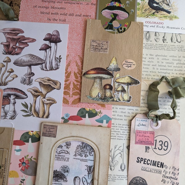 Botanical Flora junk journal vintage paper ephemera art collage. botany specimens greenhouse garden nature study flowers mushrooms birds