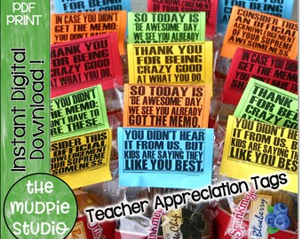 Teacher Appreciation Gift Tags – Printable Thank You Notes (PDF)