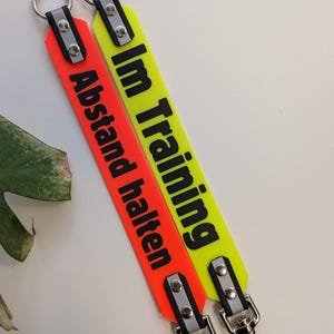 Personalized leash adapter, dog leash, dog accessories, dog training, anxious dog, spacer, dog, Biothane, leash