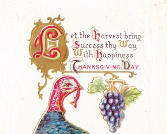 J. Herman vintage postcard, THANKSGIVING DAY, Wild Turkey, glitter detail, embossed, Brooklyn, NY, 1912
