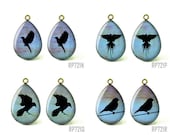 4pcs Handmade Teardrop Resin Vintage Black Birds Charm Glass Cabochons, 18x25mm 13x18mm Size