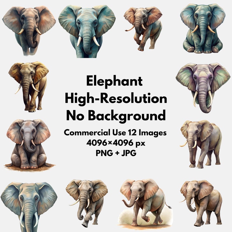 Elephant Image Clipart Bundle 12 High-resolution Transparent PNG ...