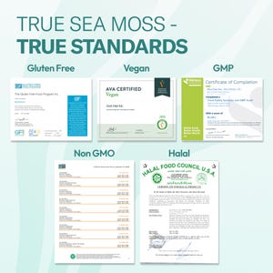 May include: A collection of five official certificates for Diva Fam Inc. displayed under the heading TRUE SEA MOSS - TRUE STANDARDS. The documents include certifications for Gluten Free, Vegan, GMP, Non GMO, and Halal status with text and logos.