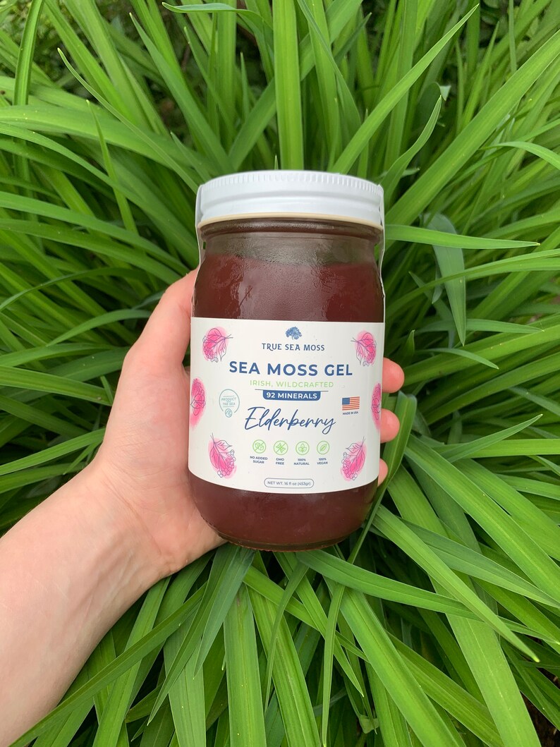 Elderberry Sea Moss Gel - Handmade Sea Moss - Etsy