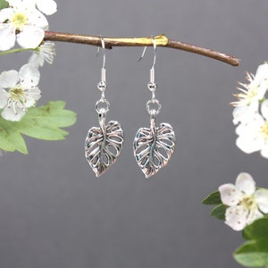 May include: Silver earrings with a delicate leaf design, hanging from a branch with white blossoms.