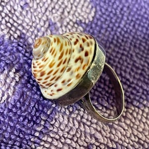 cone shell ring with sterling 925 band - speckled shell finish - size 5.75 - vintage rings