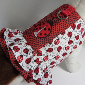 Lucky Ladybug Harness