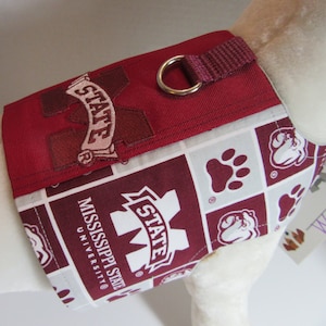 Mississippi State Harness