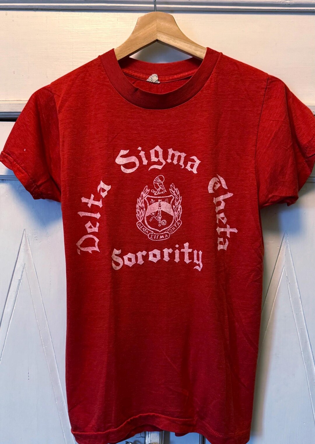 Original Rare Vintage Collegate Graphic Tshirt Delta Sigma Theta ...