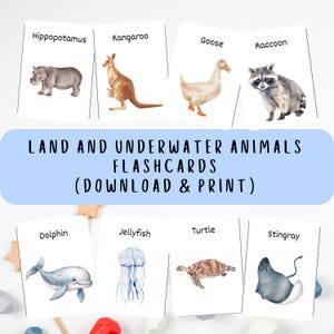 94 Flashcards de Animais em Aquarela para Crianças | Download Digital | Animais Terrestres e Marinhos | Cartões Educativos para Crianças Pequenas e Pré-Escolares
