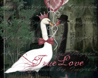 True Love Digital Collage Greeting Card (Suitable for Framing)