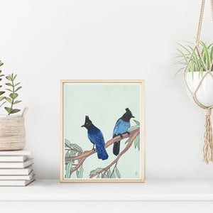 Stellar’s Jay Print |  | Bird Series | Northern California