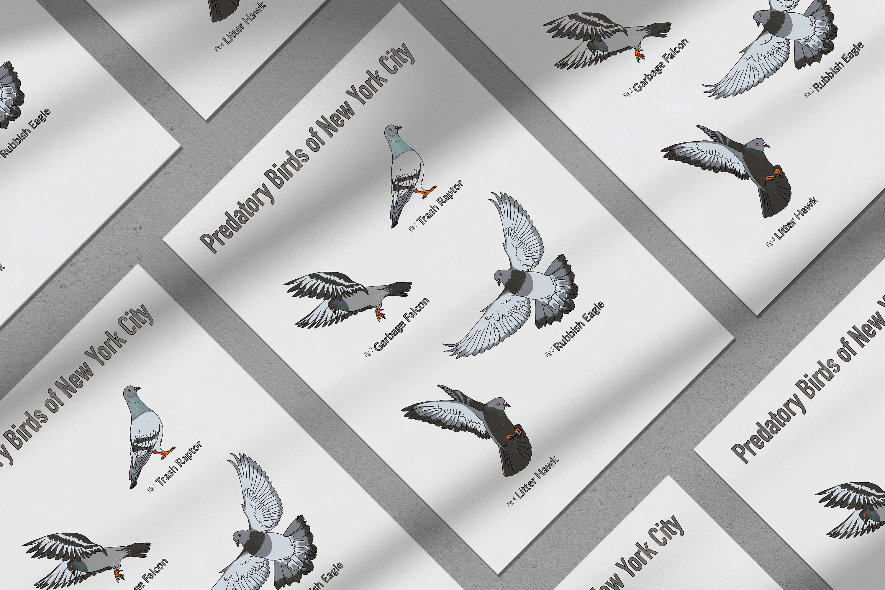 Predatory Birds of New York City Print - Etsy, image size:3000x2000
