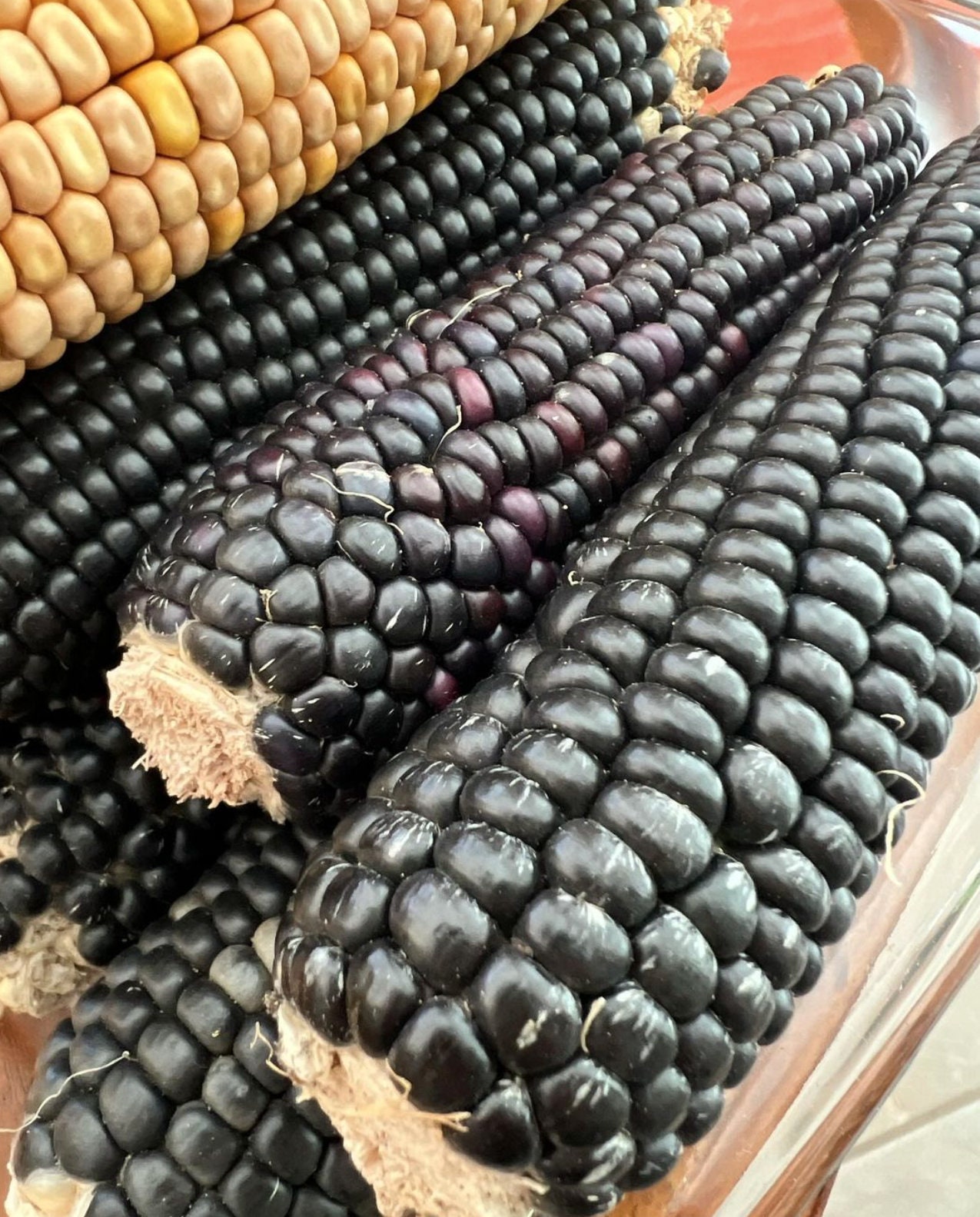 Handmade Blue Corn Tortillas Nixtamalized Organic, Nongmo, Glutenfree