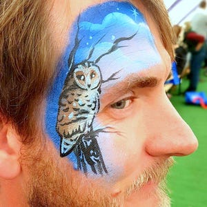 Barn OR Tawny Owl bird Stencil Reusable face paint wall body art sugar craft magic halloween wildlife halloween potter