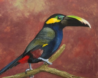 Bird Painting - Watercolor of a Yellow Earred Toucan