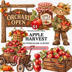 Puede incluir: Una colección de ilustraciones en acuarela que incluye un letrero de madera con el texto ORCHARD OPEN, un frasco de mantequilla de manzana, un espantapájaros con una cesta de manzanas, un carro de madera, una caja de manzanas y una calabaza.