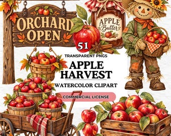 Apple Harvest Clipart Bundle, Autumn Fall Apples Watercolor PNG, Rustic Market, Apple Picking Cider Donuts, Farmhouse Decor