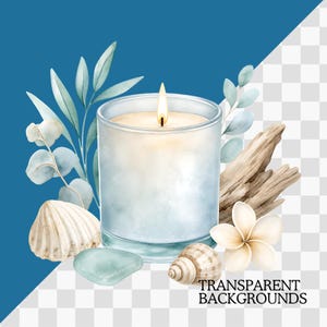 K&ouml;nnte beinhalten: Eine brennende Kerze in einem transparenten Glas, umgeben von Muscheln, Treibholz und einer wei&szlig;en Blume. Die Kerze hat eine sanfte Flamme. Der Hintergrund umfasst Bl&auml;tter und ein blaues und transparentes Design.