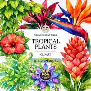 Tropical Plants Clipart Bundle: Jungle Flowers & Leaves, Hibiscus Plumeria Bird of Paradise, PNG for Sublimation