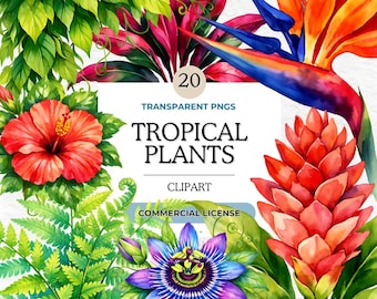 Tropische planten clipartbundel: junglebloemen en bladeren, hibiscus plumeria paradijsvogel, png voor sublimatie